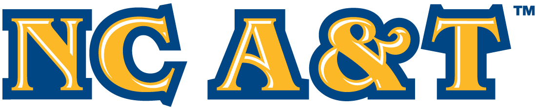 North Carolina A&T Aggies 2006-Pres Wordmark Logo v2 DIY iron on transfer (heat transfer)